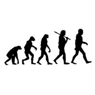 Human Evolution: From Simpler Life Forms to More Complex Life Forms